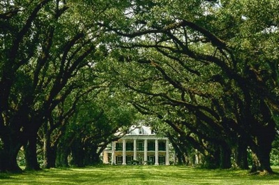 Oak Alley Plantation