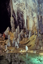 Grottes de Carlsbad