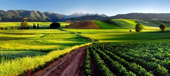 Vignobles de La Rioja