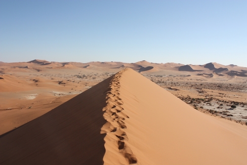 Dune du désert Namib