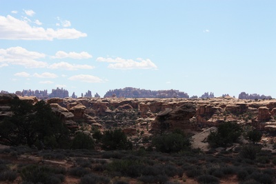 Canyonland Needles